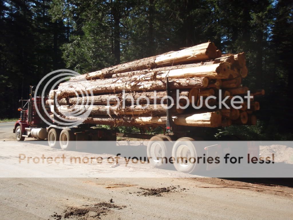 How many logs will fit on log truck?